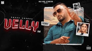 Vail  Visual  Savvy Sandhu  Karam Brar  Latest Punjabi Songs 2024 [upl. by Neelsaj]