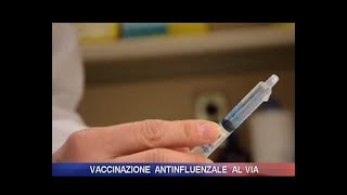 Vaccinazione antinfluenzale al via [upl. by Chellman245]