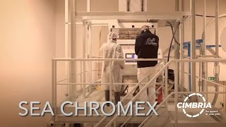 SEA CHROMEX color sorter [upl. by Lise]