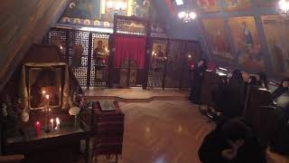 Ellwood City Chapel  Thanksgiving  Matins and Divine Liturgy  Fr Yurii [upl. by Anitsuga]