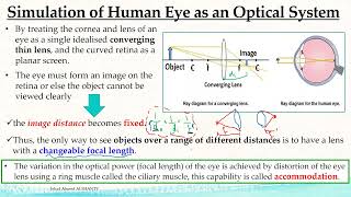 Emmetropia Vs Vision Defects  الفيزياء الحيوية [upl. by Erica966]