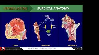 Oropharyngeal SCC An Overview Dr Dadi Hassan [upl. by Notnelc275]