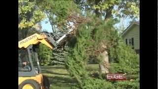 EDGE Tree Puller  Grabbing Tool Removes Invasive and Overgrown Bushes and More [upl. by Asselem]