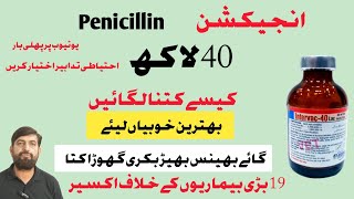 Injection Penicillin 40 Lac  Uses In Buffalo Cow Goat Horses [upl. by Stinky872]