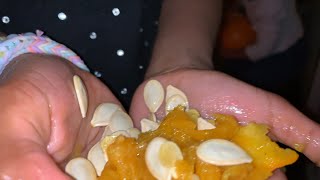 Pumpkin Guts at Night 🎃 halloween halloweenpumpkin pumpkin seeds [upl. by Eitsim872]