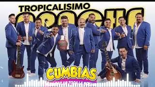 Tropicalísimo Apache Grandes Exitos Cumbias Viejitas Pero Bonitas Para Bailar Lo Mejor De Lo Mejor [upl. by Iaras]