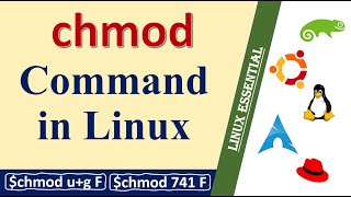 How to change file permission using chmod command in Linux  chmod [upl. by Niwroc]