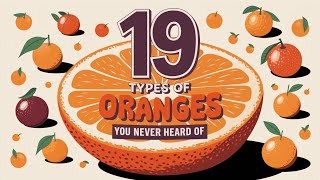 19 Types Of Oranges You Never Heard Of  A9kYT [upl. by Marianna]