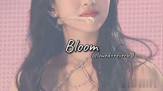 Bloom  Twice   slowedreverb [upl. by Reteid]