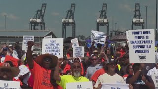 How the dock worker strike could impact the local agriculture industry [upl. by Arlynne]