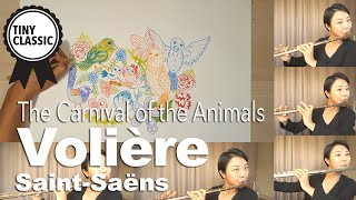 The Carnival of the Animals  Volière  동물의 사육제  큰새장 [upl. by Haym]