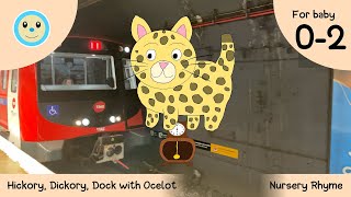 Hickory Dickory Dock with Ocelot 🕰️🐆  Nursery Rhyme for Baby 👶🏻  Ages 02 Years [upl. by Rorie]