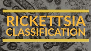 Rickettsia Classification  Microbiology [upl. by Ordnajela707]