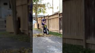 This Ryobi Vac Attack is excellent at removing leaves [upl. by Sivra779]