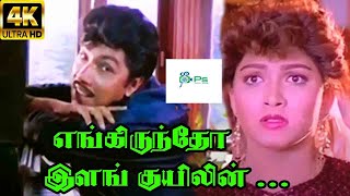 Engiruntho Ilam Kuyilin எங்கிருந்தோ இளம் குயிலின்  SPB Love Tamil H D Song [upl. by Harbard]