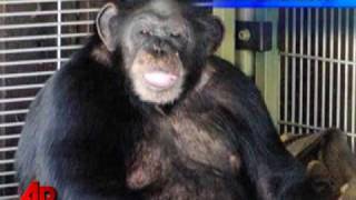 Family Says Chimp Attack Victim Talking Moving [upl. by Hachmann]