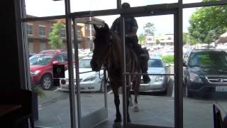 Seattle Mounted Patrol [upl. by Irvine]