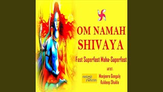 Om Namah Shivaya 1008 Times in 11 Minutes [upl. by Annaohj51]