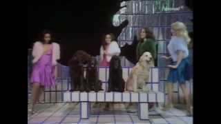 Pans People  Get Down  TOTP TX 25121973 [upl. by Assin209]