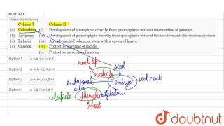 Match the followingColumn I Column IIaColeorhizaiDevelopment of sporophyte direc [upl. by Bathulda]