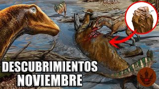 DESCUBRIMIENTOS NOVIEMBRE 2023 CARROÑEROS JURÁSICOS CLASIFICACIÓN DE TYRANNOSAURIOS [upl. by Alliuqaj52]