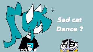 Sad cat DanceMEME Gift▼momiji [upl. by Yung951]