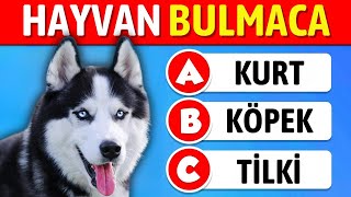 Hayvanı Tahmin Et  🐶🐱 Hayvan Bilgi Yarışması 🧠 Hayvan Testi [upl. by Stillas]