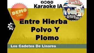 Los Cadetes De Linares  Entre Hierba Polvo Y Plomo  Karaoke [upl. by Kelcy]