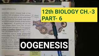 Class 12 biology chapter 3part 6 gametogenesisoogenesisby study with farru [upl. by Annayk]