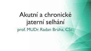 Akutní a chronické jaterní selhání – prof MUDr Radan Brůha CSc [upl. by Drallim444]