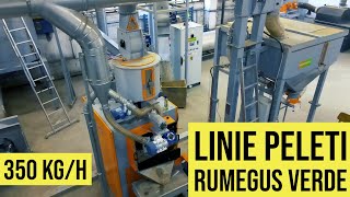 Linie productie peleti completa  Peleti Rumegus Verde  Capacitate 350 kg  ora [upl. by Raskind]