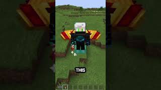 Is THIS Elytra Mod REALLY the FUNNEST Way to Play [upl. by Brookes10]