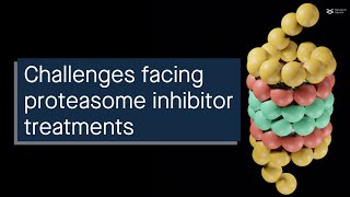 Effects of proteasome inhibitors on the NF B pathway in leukemias and lymphomas [upl. by Sanders811]