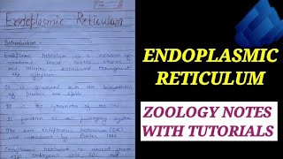 ENDOPLASMIC RETICULAM IN HINDIendoplasmicreticulam cellbiologynote zoologynotesbsc1styear [upl. by Yerrok]