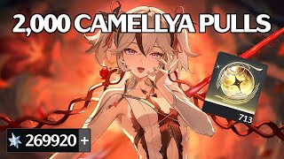 THE 2000 CAMELLYA PULLS  Wuthering Waves [upl. by Adnahcir]