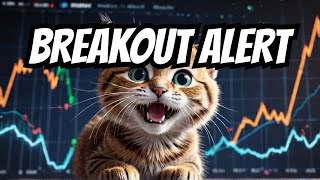 This Meme Coin is About To Have A Massive Breakout [upl. by Lennod]