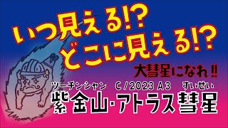 【いつどこに見える？】紫金山・アトラス彗星【特集その4】 [upl. by Meesak]