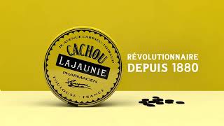 Revolution  Clip viral de Cachou Lajaunie par Manolo Freitas  Motion Design [upl. by Daniela]