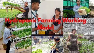 Hydroponic Farming Working Model  Inspire Award Science Project  codingjoker🃏 [upl. by Htebzile947]