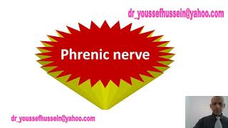 Phrenic nerve  Roots  Course  Branches  Injury  Hiccough  Why left is longer  Referred pain [upl. by Nillok]