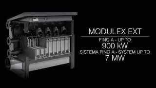 MODULEX EXT [upl. by Balfour]