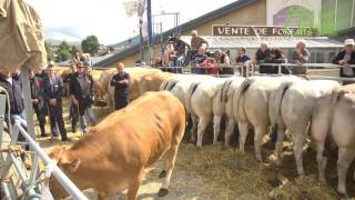 Foire aux Bestiaux  Les Angles 2016 [upl. by Anayi]