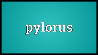 Pylorus Meaning [upl. by Clellan6]