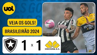 BOTAFOGO 1 X 1 CRICIÚMA  BRASILEIRÃO 2024 VEJA OS GOLS DE TIQUINHO SOARES E FELIPE VIZEU [upl. by Aicittel]