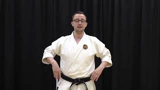 MFIT  Black Belt Assistant Training Video [upl. by Iridis958]