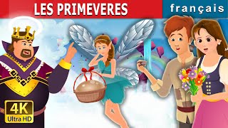 LES PRIMEVERES  Primrose Story  Contes De Fées Français [upl. by Relly576]