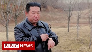 North Korea celebrates 10 years of Kim Jonguns rule – BBC News [upl. by Nevaj]