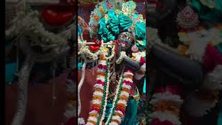 Itna shauk mat rakho Vrindavan ki galiyon mein jaane kaRadhe Radhe Radhe Krishna trending video [upl. by Aivilys]