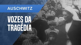 HISTÓRIAS DOS SOBREVIVENTES DE AUSCHWITZ [upl. by Aillemac]