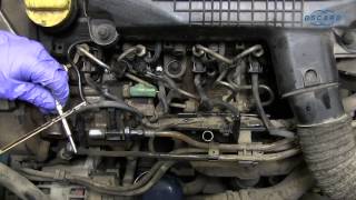 Renault Kangoo 15 DCI  Changement des bougies de préchauffage [upl. by Enamrej372]